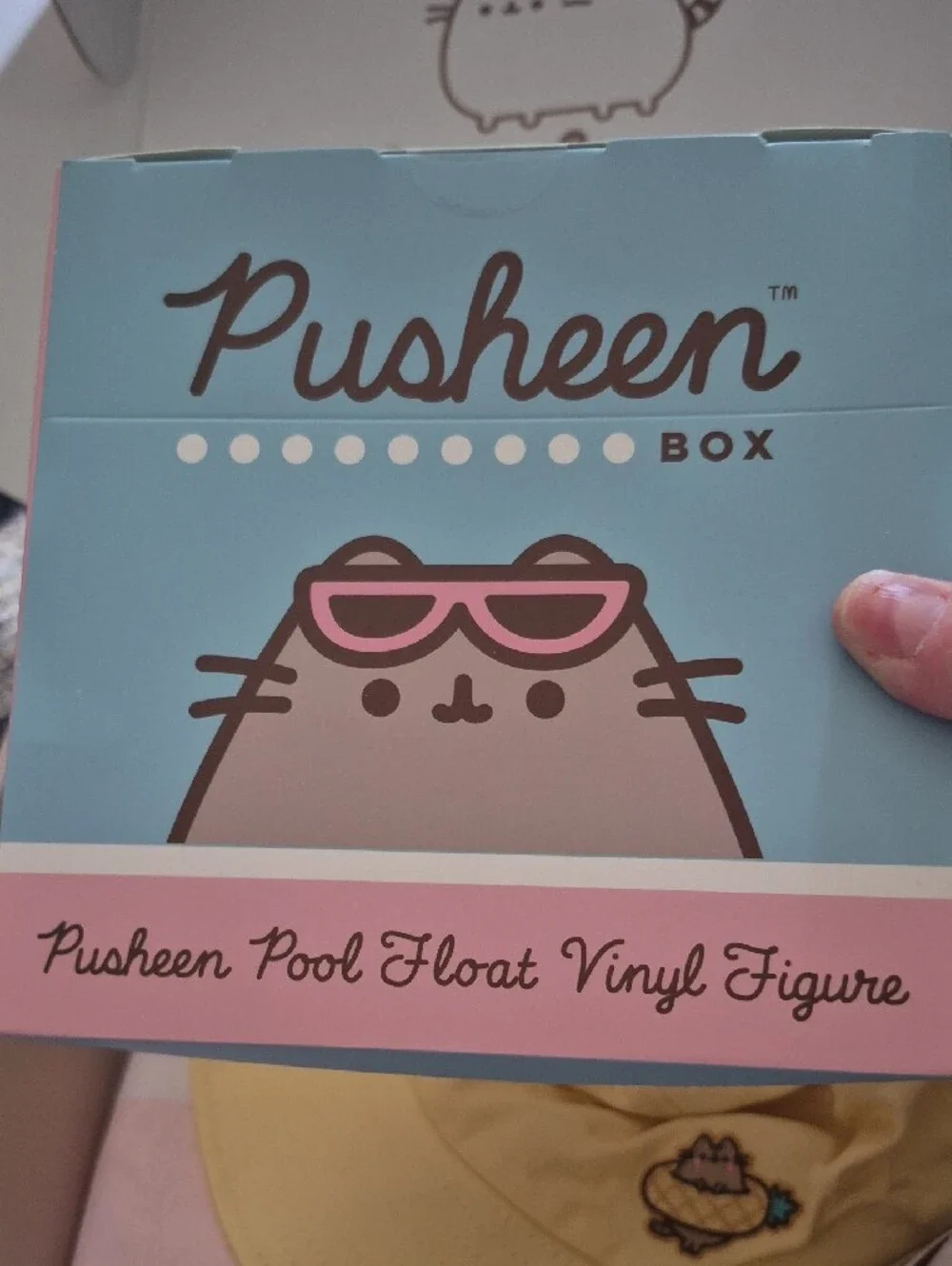 Pusheen 2026 summer
